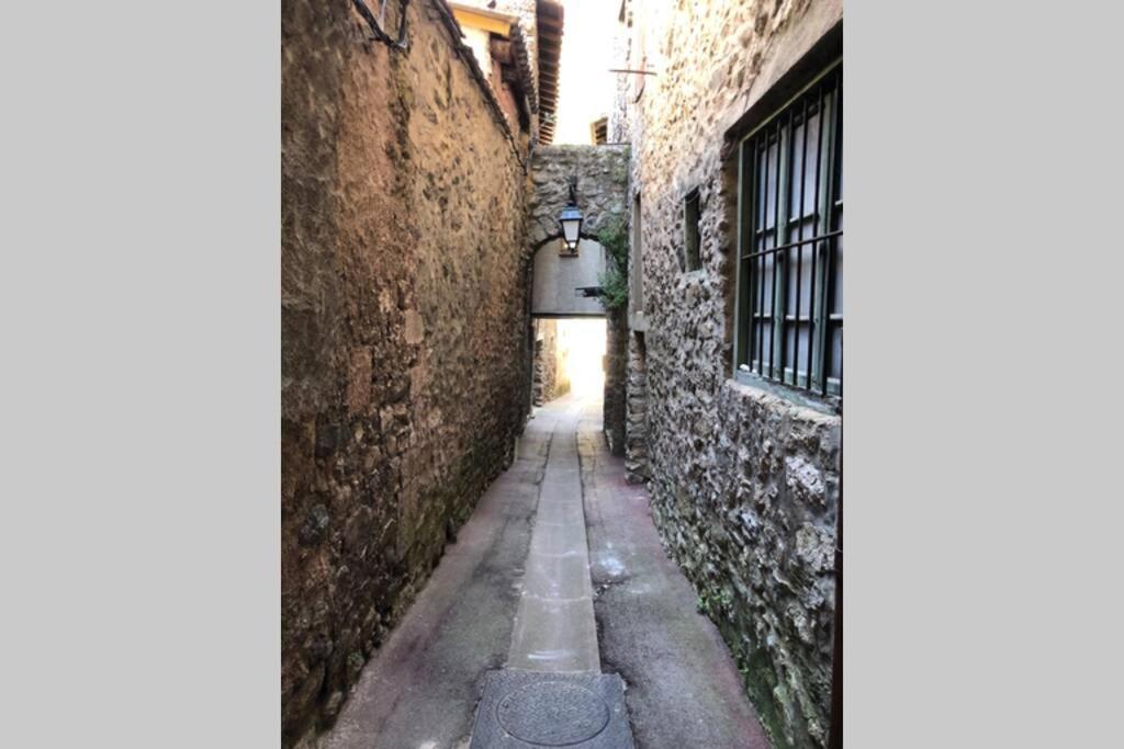 Les Maisons Du Conflent, Maisons Familiales En Pierre Au Coeur Des Remparts Вилфранш-дьо-Конфлон Екстериор снимка
